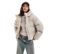 Converse - Piumino taglio corto beige-Marrone XL