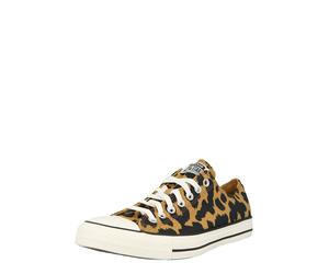 CONVERSE Sneaker bassa 'Ctas' crema / miele / nero Uomo CONVERSE 37,5