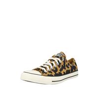 CONVERSE Sneaker bassa 'Ctas' crema / miele / nero Uomo CONVERSE 42