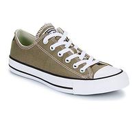 Converse Sneakers basse CHUCK TAYLOR ALL STAR in Marrone 36