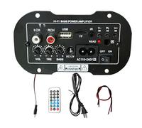 Convertitore di Uscita Audio, Amplificatore Audio USB ad Alta Fedeltà, Scheda Amplificatore di Graves Wireless 13 cm - Amplificatore Audio Centrale per Casa e Veicolo