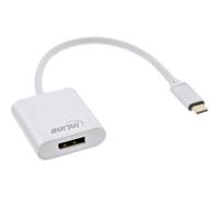 INL Convertitore USB display InLine®, spina USB-C a spina DisplayPort (DP vecch