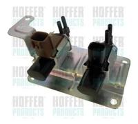 Convertitore pressione elettrico 8029486 HOFFER