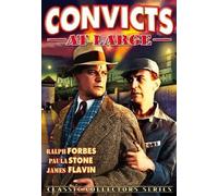 Convicts at Large (DVD) William Boyle Ralph Forbes Florence Lake Paula Stone