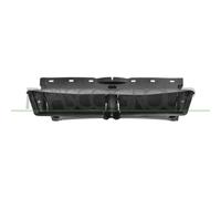 Convogliatore Aria Centrale Paraurti Anteriore TESLA MODEL Y 04/2019-05/2025