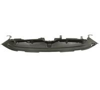 CONVOGLIATORE ARIA SUPERIORE PARAURTI ANT FORD FIESTA 2013