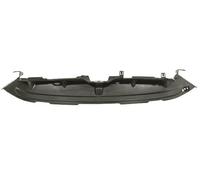 CONVOGLIATORE ARIA SUPERIORE PARAURTI ANTERIORE PER FORD FIESTA 13>