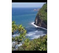 CONVOLUTIONS THEY ARE CALLED SHAPES FROM THE BRAIN WHERE THOUGHTS BEGIN THEIR VOYAGE TO ETERNITY