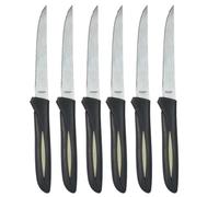 COOK CONCEPT, KD32951, Set di 6 Coltelli da Bistecca in Acciaio Inossidabile, Design Moderno ed ergonomico, Lama Seghettata per Un Taglio Preciso, Facile da Mantenere, 23 cm, Argento