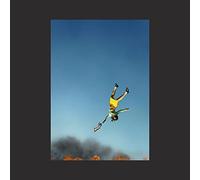 Yeah Yeah Yeahs Cool It Down (Vinyl LP) 12" Album