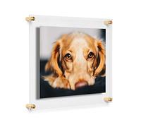 Cool Modern Frames - Cornice portafoto a doppio pannello in acrilico trasparente, 20,3 x 25,4 cm, accessori dorati per trasformare e esporre opere d'arte e foto