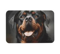 Cool Rottweiler Dog Art Diatomy fango, tappetino da bagno assorbe umidità e sporco, zerbino con retro in gomma antiscivolo, adatto sotto la porta, per pavimento del bagno, vasca, doccia, lavandino