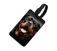 Cool Rottweiler Dog Art - Etichette per bagagli divertenti per bagagli, targhette con nome per zaini, etichette uniche per borse da viaggio, etichette identificative per valigie, etichette per donne e
