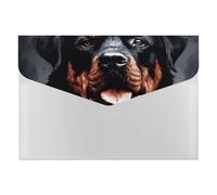 Cool Rottweiler Dog Fisarmonica File Organizer 6 tasche portadocumenti espandibile Cartella a fisarmonica con etichette, cartelle da viaggio in plastica con chiusura a scatto, 33 x 23 cm