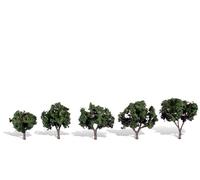 Cool Shade Trees 1.25-2 ACC NUOVO