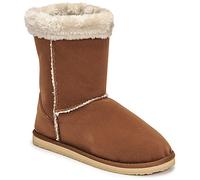 Cool shoe Pantofole GUARA in Marrone 40