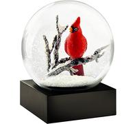 "COOL SNOW GLOBES CS216-CARS"