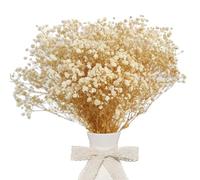 CoolCrafts Fiori di Gipsofila Essiccata Naturale Gypsophila Bianca Fiori Secchi per Decorazioni per la Casa, Matrimoni, Bouquet e Progetti Creativi
