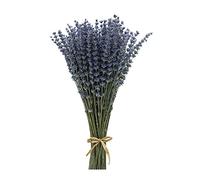 CoolCrafts Lavanda Essiccata Fiori Secchi Lavanda Fasci di Lavanda Mazzi di Lavanda Essiccati per Decorazioni