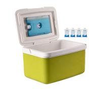 Cooler da campeggio | Scatola di freschezza trasportabile con manico - capacità 15 l per bevande e alimenti ideale campeggio pic-nic, spiaggia barbecue