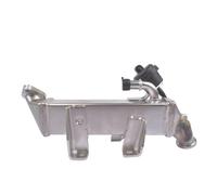 Cooler Delete Valvola Kit Adatto Per Renault Master Trafic Adatto Per Vauxhall Movano 2.0 2.3 DCi Diesel Valvola EGR Raffreddatore Valvola di spurgo canister