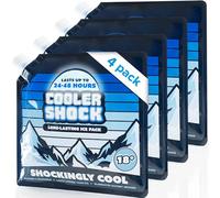 Cooler Shock Ice Pack per Scatola di Raffreddamento, 25cm x25 cm, più Freddo Rispetto al Ghiaccio -7,7°C, Igienico, Riutilizzabile. Aggiungere Acqua, Congelare, Risparmiare Denaro (Confezione da 4)