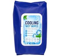 Cooling Body Wipes 40ct Portable Refreshing Face Cleansing Wipes Mint Scent