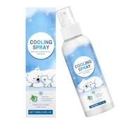 Cooling Mist - 100ml Lightweight Pocket Size Cold Mister
