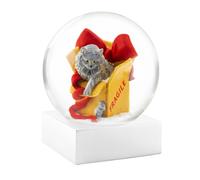 CoolSnowGlobes Cat in a Box Snow Globe