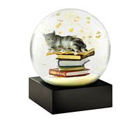 CoolSnowGlobes Globo di Neve Gatto sui Libri