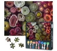 Coolstes Puzzle da 1000 pezzi per adulti - sviluppo embrionale & biologia cellulare, arte microscopica astratta STEM Puzzle - 27,5 x 19,7 pollici (70 x 50 cm)