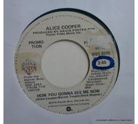 Cooper, Alice - Cooper, Alice How You Gonna See Me Now 7" Warner Bros WBS 8695 EX 1978 US pressing