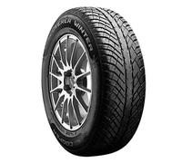 Cooper Discoverer Winter (235/55 R17 99H)