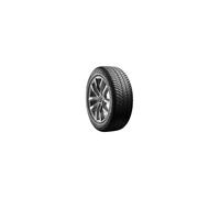 Cooper Discoverer All Season (225/55 R17 101W)