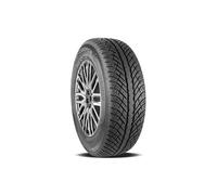 COOPER - Pneumatico Cooper Discoverer Winter Xl M+s 3pmsf 245/40r19 98v - Invernale