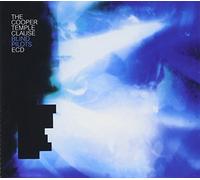 Cooper Temple Clause,the - Blind Pilots
