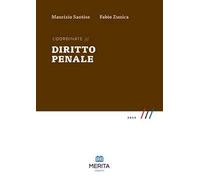Coordinate. Diritto penale 2024