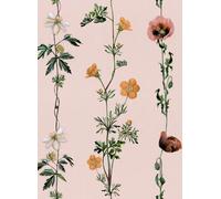 Coordonne Carta da parati Climbing Flowers - Pink