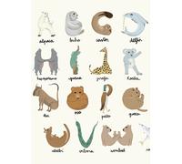 Coordonne Carta da parati panoramica Animal Alphabet - Multi
