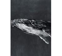 Coordonne Carta da parati panoramica Humpback Whale - Night