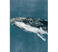 Coordonne Carta da parati panoramica Humpback Whale - Vintage
