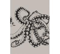 Coordonne Carta da parati panoramica Octopus X-Ray - Ink