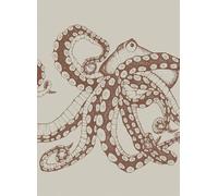 Coordonne Carta da parati panoramica Octopus X-Ray - Papirus