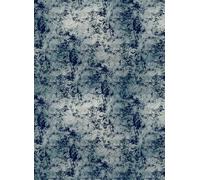 Coordonne Carta da parati panoramica Star Colission Metallics - Silver