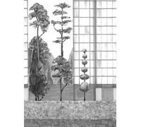 Coordonne Carta da parati panoramica Urban Garden - 8000077N