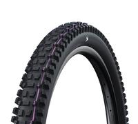 Schwalbe Albert Gravity Pro Evo Ultrasoft E-50 Tubeless 29´´ X 2.60 Mtb Tyre Nero,Argento 29´´ x 2.60