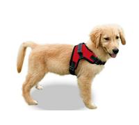Copatchy Pettorina riflettente per cani No Pull (piccola, rossa)