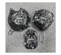 Coperchio Basamenti Motore PER KAWASAKI Z900 Z900SE 2017-2023 Dispositivo Di Protezione Della Copertura Laterale Carter Motore Motociclo Accessori Coperchio Frizione Moto ( Color : Forging lines )