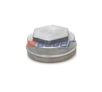 Coperchio di protezione, mozzo ruota AUGER AUG57159