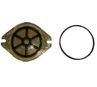 Coperchio Del Filtro Hayward SPX1250LA Con Guarnizione Per Pompa Max-Flo